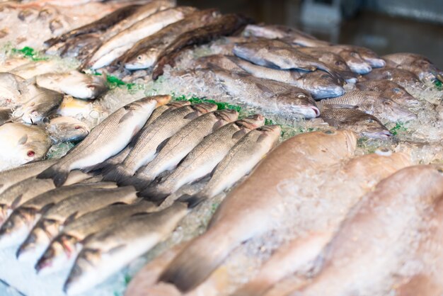 Raw fish in market