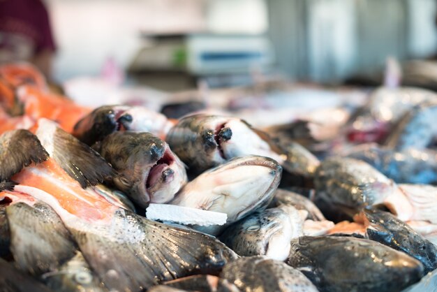 Raw fish in market