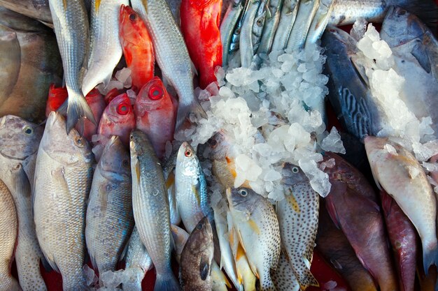 Raw fish on market