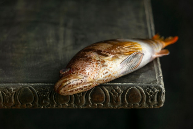 Raw fish on table high angle