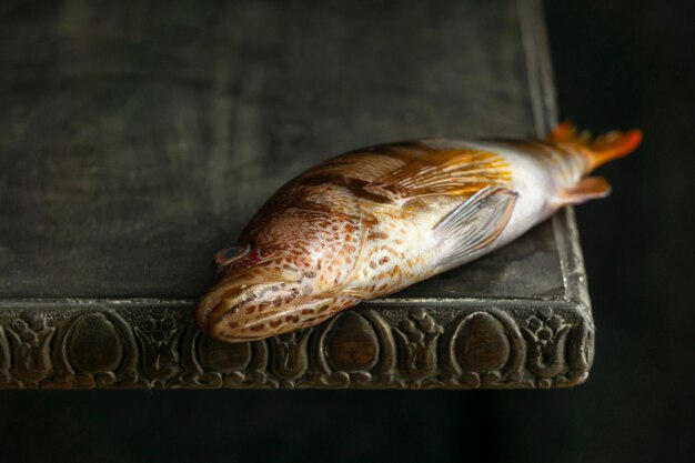 Сырая рыба на столе под высоким углом