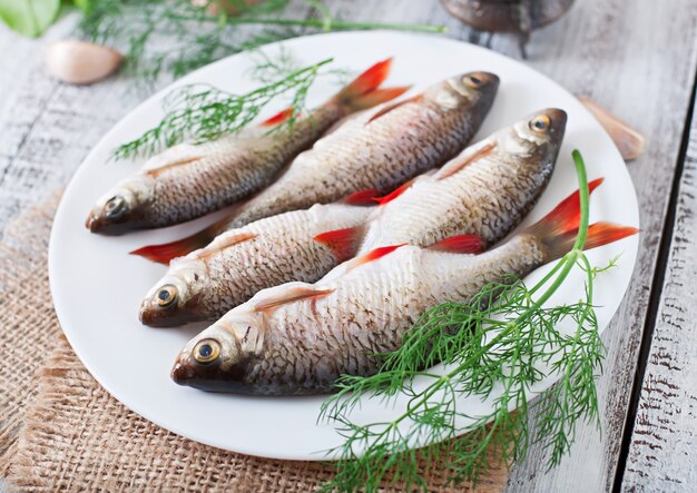 Raw fish on white plate with dill