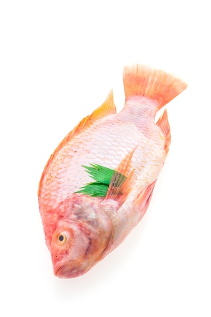 Free Photo raw fresh fish