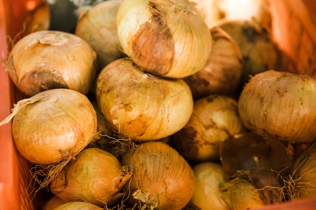 Raw healthy onion in plastic crate for sale