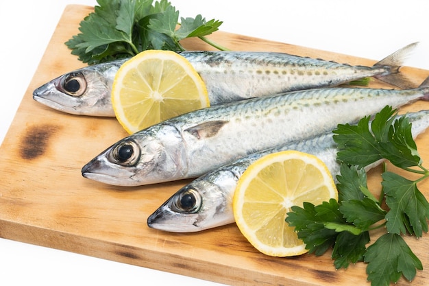 Free photo raw mackerel fish isolated on white backgroundxa