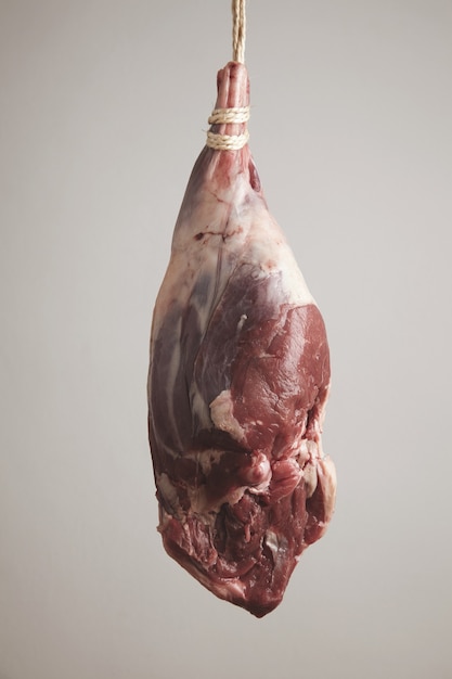 Raw meat flesh icelandic lamb leg hanged on craft rope for smoking. paleo diet, organic food, isolated on white gray