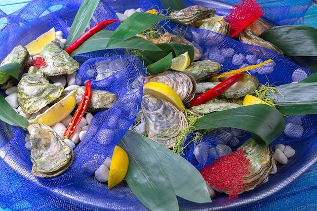 Raw oysters with lemon and ice