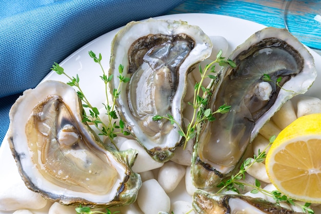 Raw oysters with lemon and ice