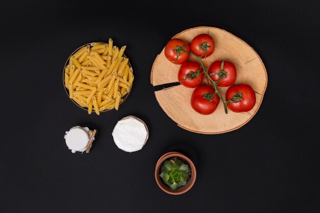 Raw penne pasta and ingredient with succulent plant on black background