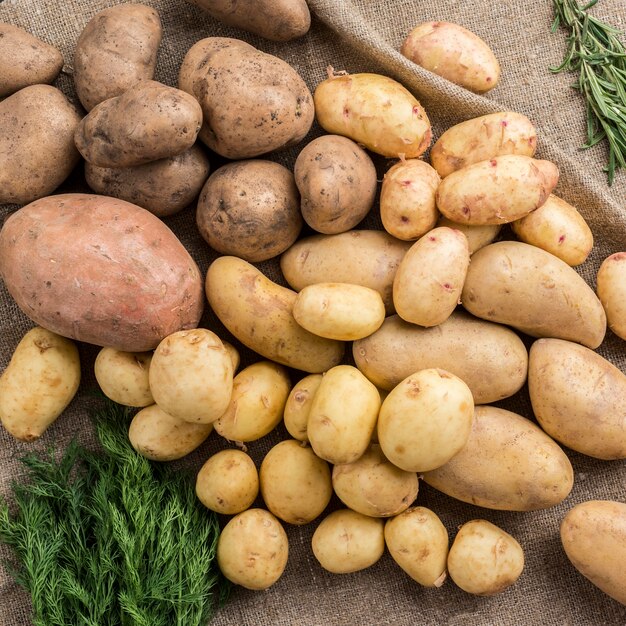 Raw potatoes on table and dill