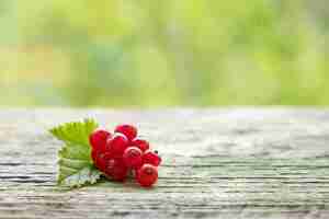 Foto gratuita mazzo dolce succoso maturo crudo del ribes su uno scrittorio di legno nel giardino di primavera