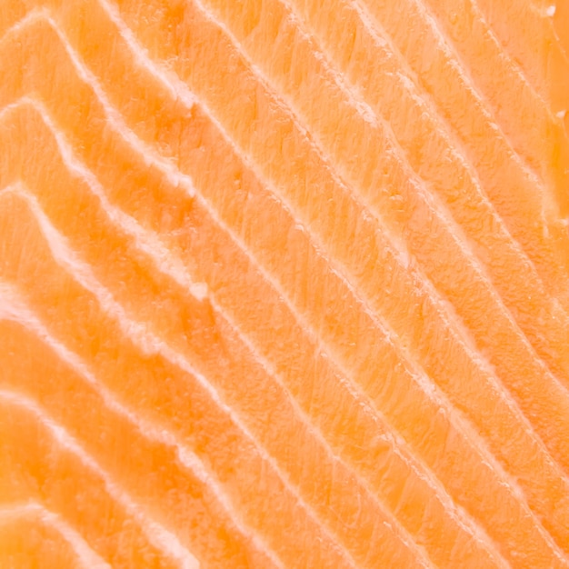 Free photo raw salmon meat