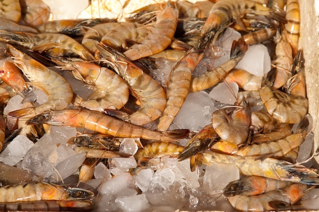Raw  shrimp