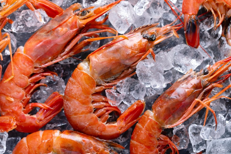 Free Photo raw shrimps on ice cubes
