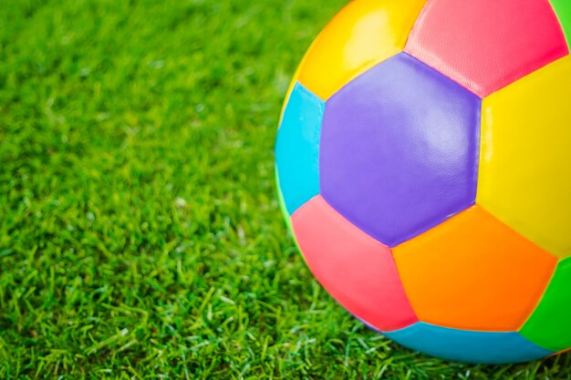 Real leather Colorful multi colour Soccer ball on green grass .