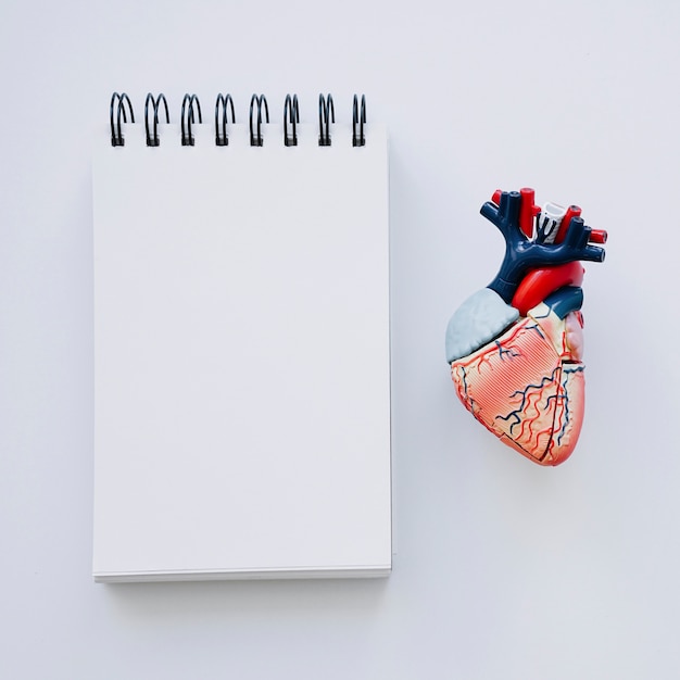Free photo realistic heart and notebook in foreground
