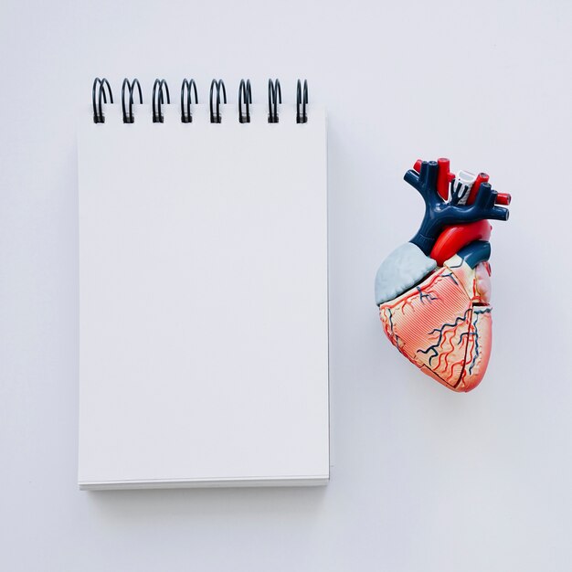 Realistic heart and notebook in foreground