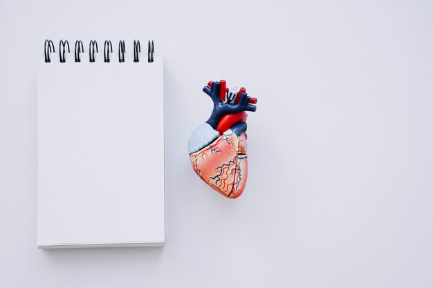 Realistic heart and white notebook