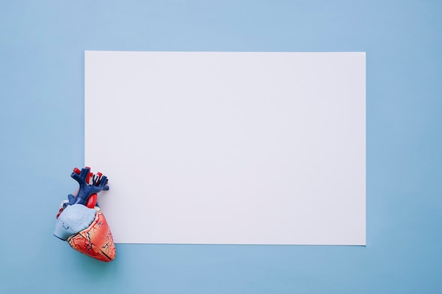Realistic heart and white paper