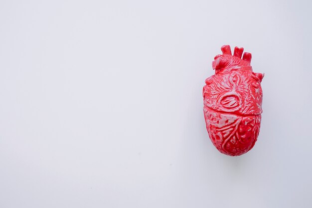 Realistic heart with copy space