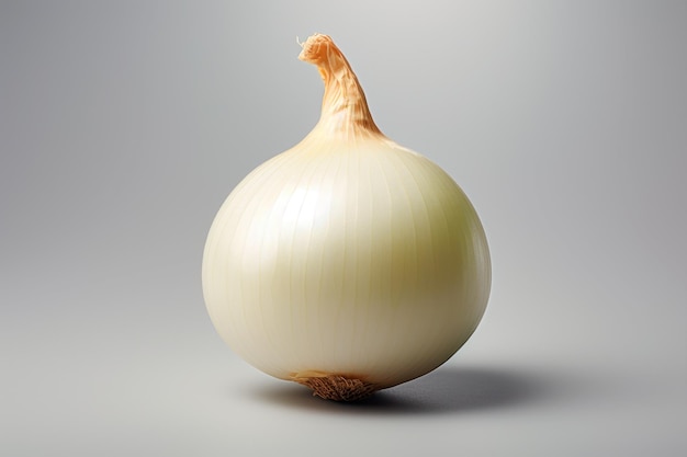 Free photo realistic image of sweet onion on colourful background