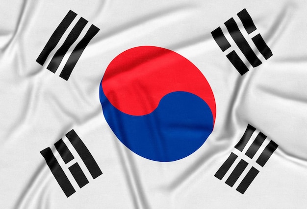 現実的な韓国の旗の背景