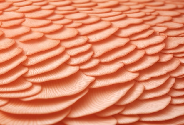 Бесплатное фото Реалистичная текстура с персиковым оттенком