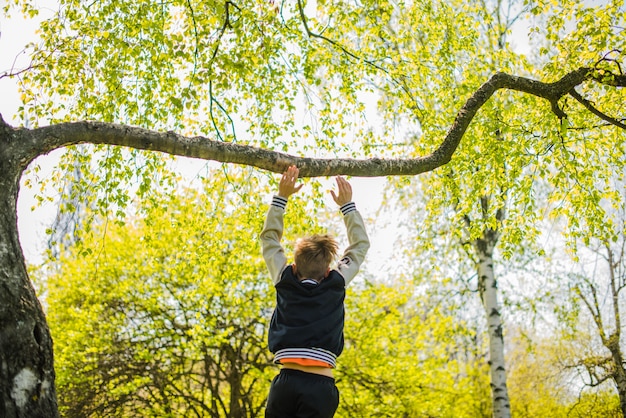 Rear view of boy playing on a branch