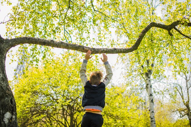 枝の上で遊んでいる男の子の背面図