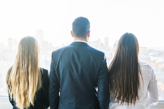 Rear view of businesspeople looking through window