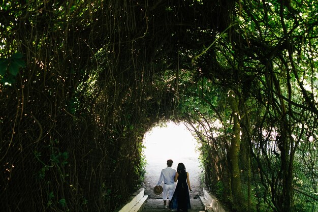 Вид сзади пара идет через туннель деревьев