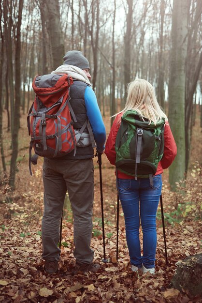 Rear view of couple while hiking