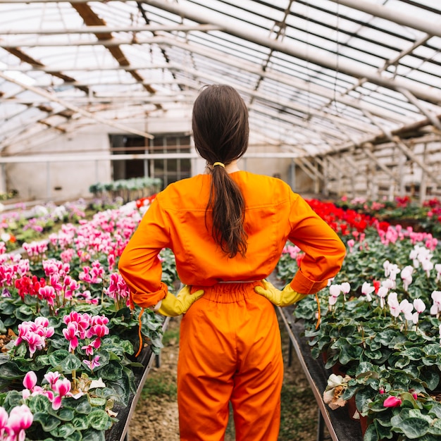Free photo rear view of a female gardener standing in greenhouse