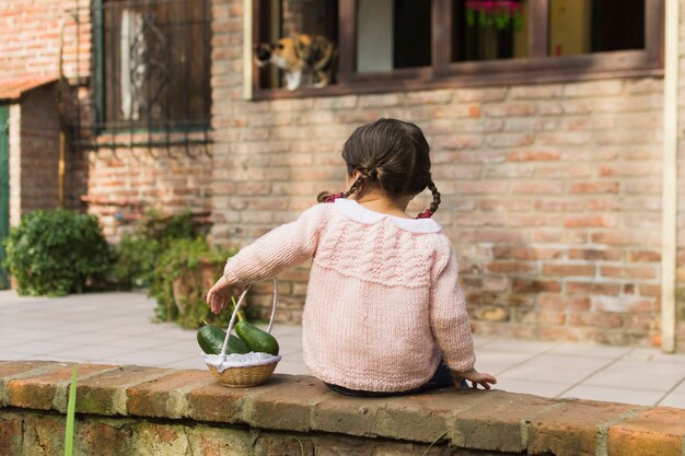 小さなバスケットでアボカドの果実を保持している壁に座っている女の子のリアビュー