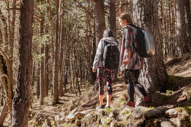 Rear view of girls walking in the countryside