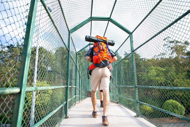 緑のグリッドに囲まれた橋の上を歩いている男の背面図。バックパックを背負って、小道を通って川や湖を渡るハイカー。観光、冒険、夏休みのバックパッキング