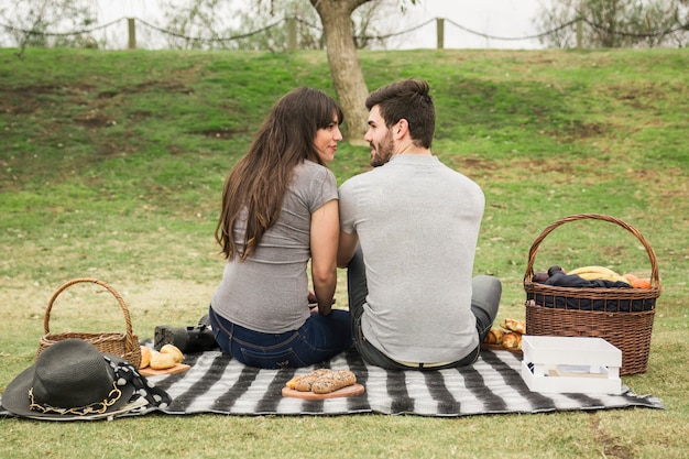 Free photo rear view of smiling young couple looking at each other on picnic