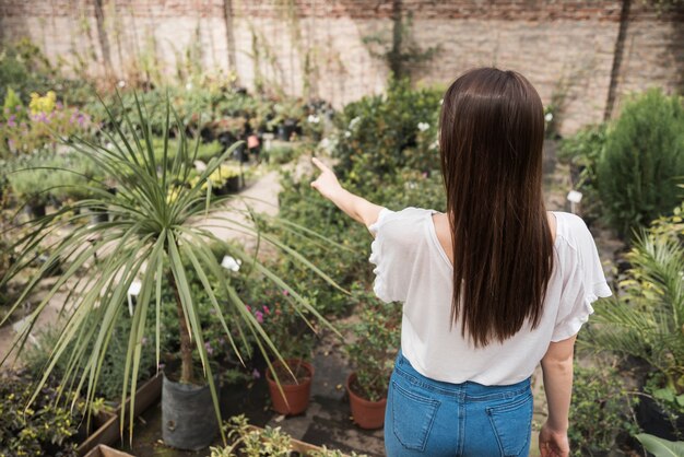 Rear view of a woman pointing towards something in greenhouse