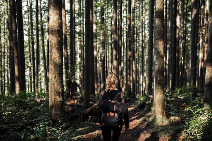 Free Photo rear view of woman with her backpack walking in the forest