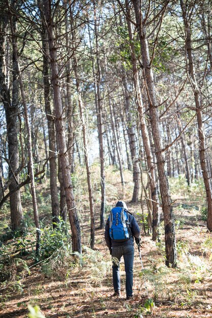 バックパック付きの若い男の後ろは、山に向かって進みます。