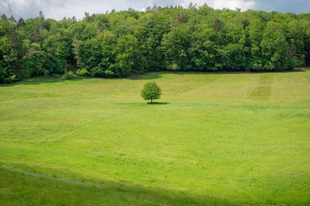 Recreation area Odenwald in the heart of europe