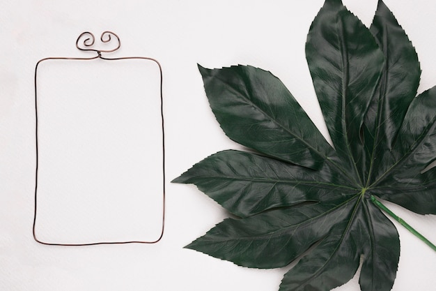 Free photo rectangular frame near the green big leaf isolated on white backdrop