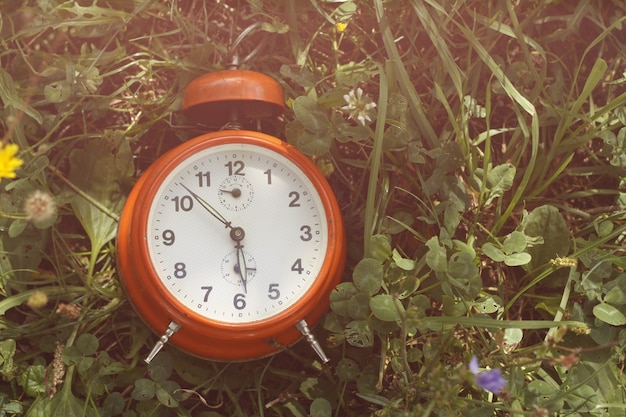 Red Alarm Clock – Free to Download Stock Photo