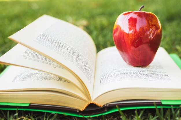 Red apple on book with green cover