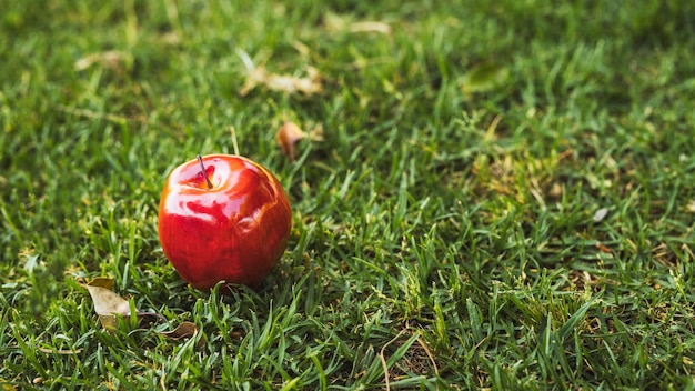 Красное яблоко на зеленой лужайке