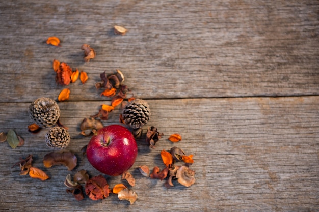 Red apple with pine cones