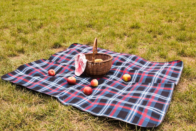 Red apples on blanket with picnic basket in the park