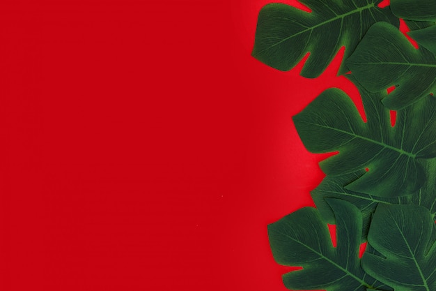 Free photo red background with tropical leaves