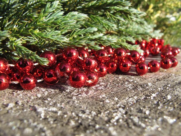 Red beads and conifer branches on a background of rustic wood with snow in sunny day space to copy