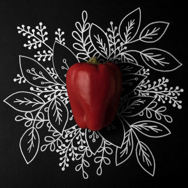 Красный перец над контуром цветочные рисованной